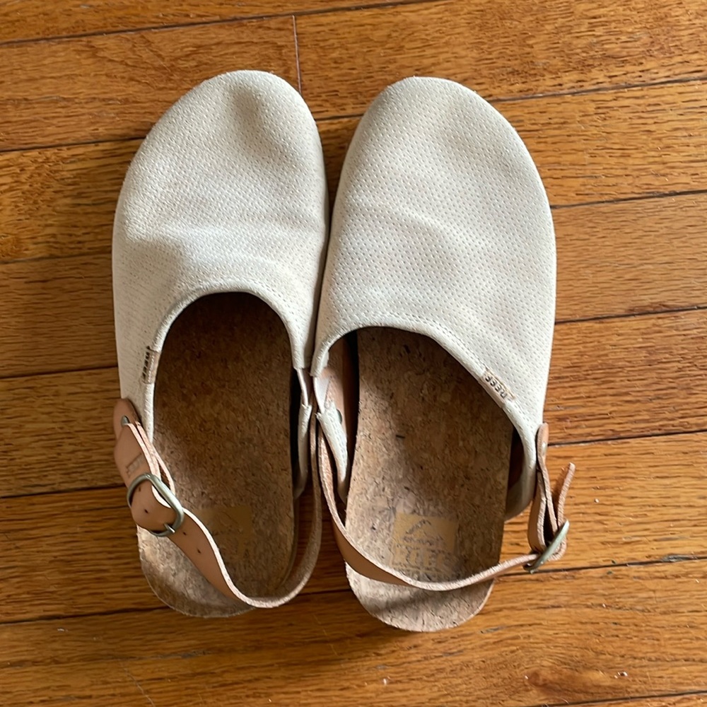Reef clogs